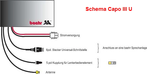 baehr_capo_IIIU_schema