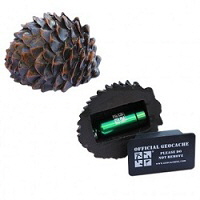 microcache_dennenappel_200 microcache_dennenappel_200