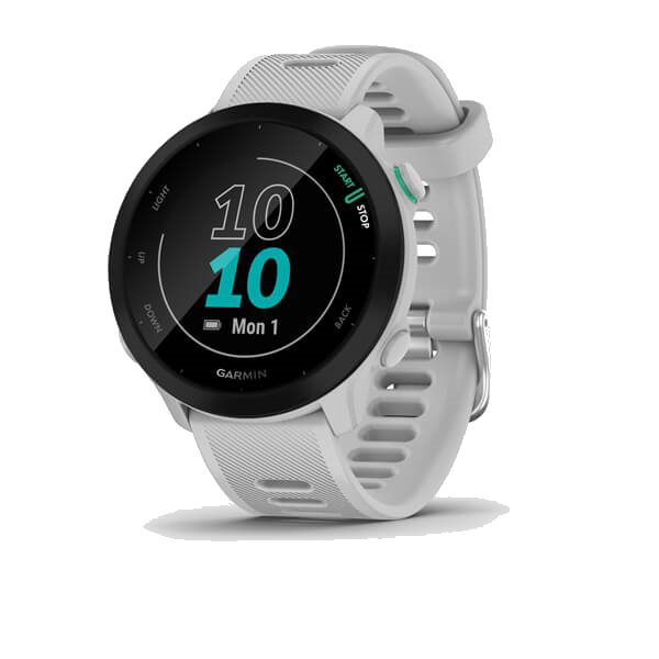 Garmin Forerunner 55 whitestone