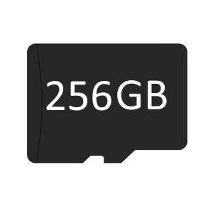 MicroSD 256GB UHS1 class 3