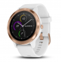 vivoactive3wit